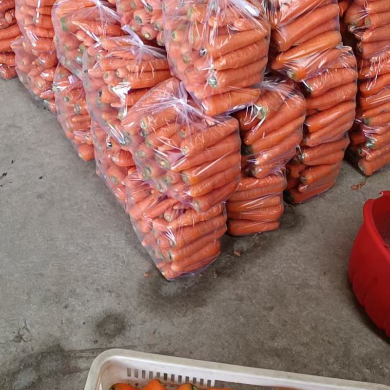 大量供应东台三红胡萝卜，支持整车供应，各种包装量大优惠！