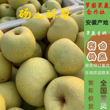 酥梨砀山酥梨产区直发规格齐全代收代发代加工