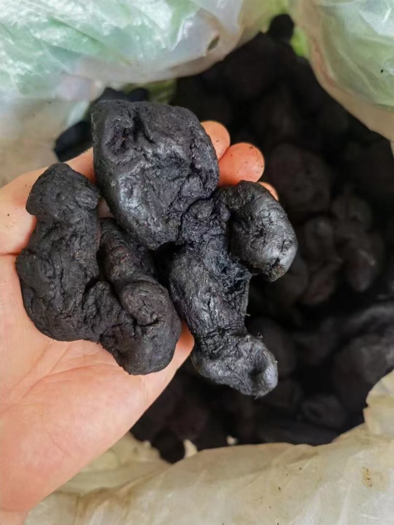 野生黄精九蒸九晒软黄精个大肉足软糯香甜一斤起发