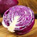 江苏精品紫甘蓝，自家种植，无公害，一手货源，价格美丽