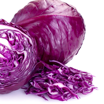 紫甘蓝圆包菜大量上市，全国可发，一手货源，量大从优