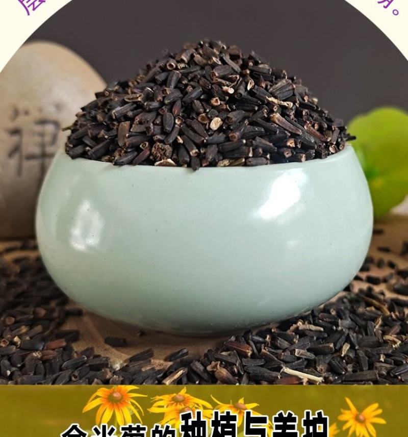 金光菊花种籽子多年生耐寒四季种易活庭院室外植物花黑心菊花