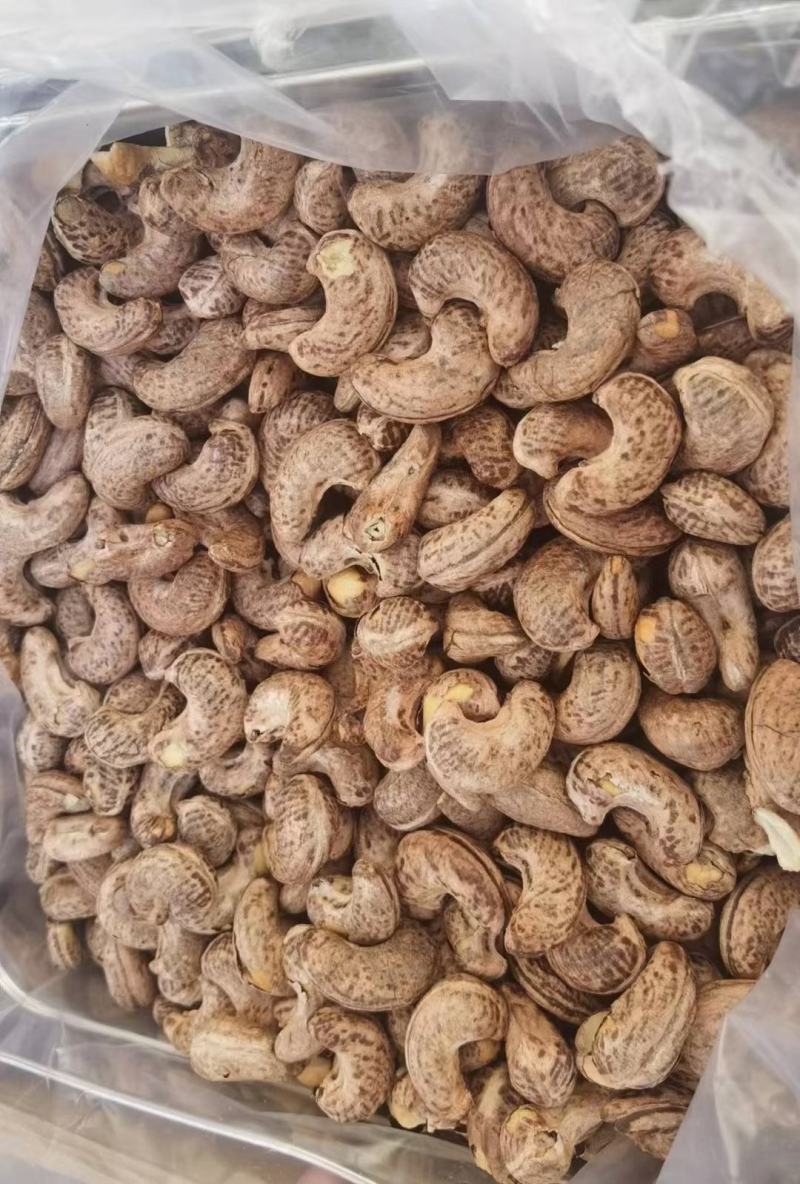 越南大腰果罐装500克一罐批发坚果开心果越南零售批发