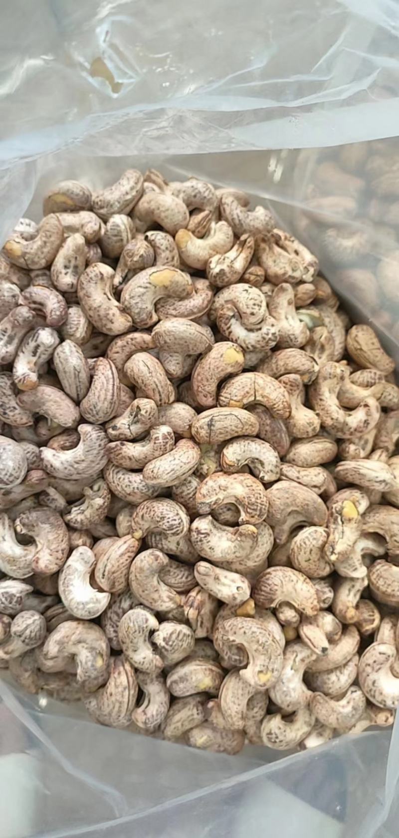 越南大腰果罐装500克一罐批发坚果开心果越南零售批发