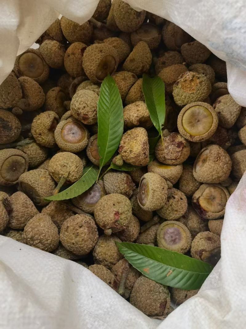 原始森林野生风流果补肾果薄壳多肉新果好果一手货