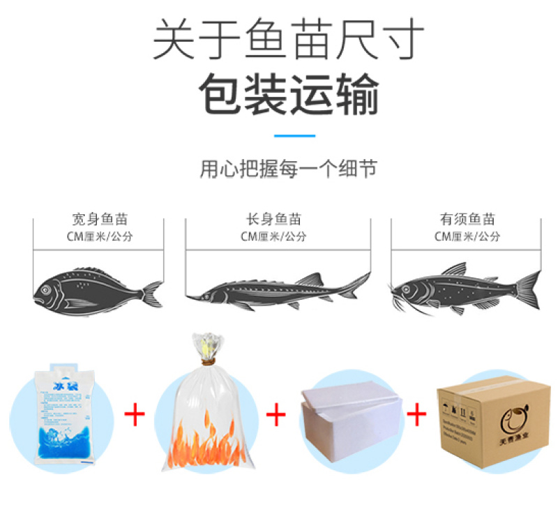 四川眉山红眼银鳕鱼苗淡水鱼苗鱼场直发