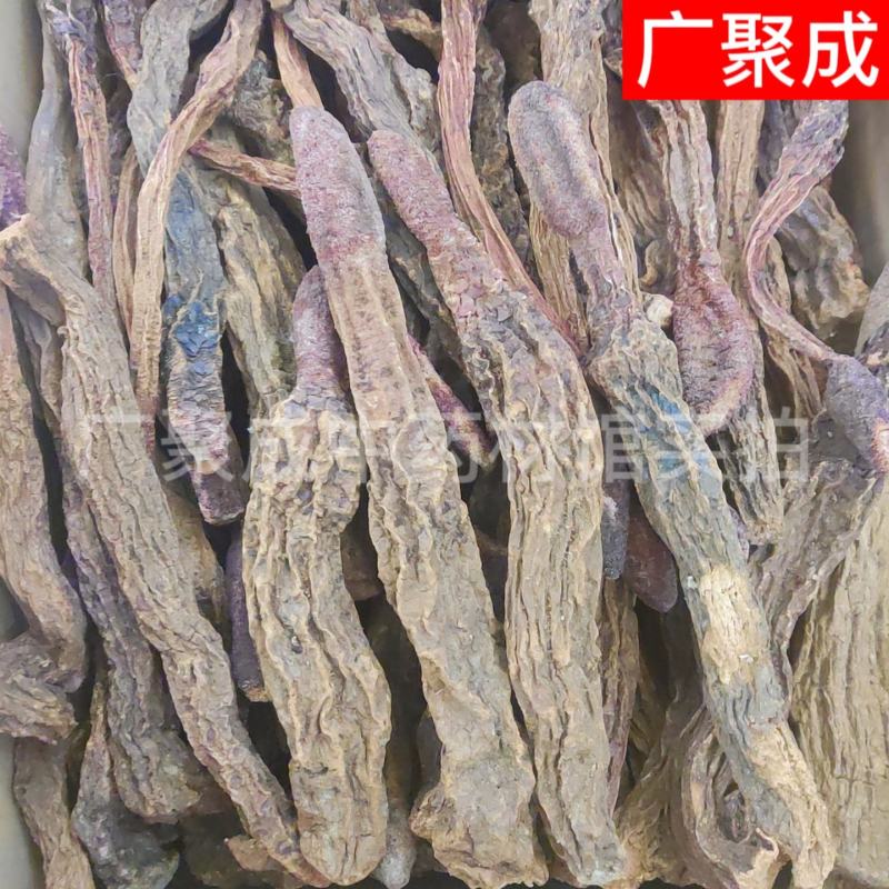 【包邮】批发锁阳内蒙古阿拉善金锁阳整根泡酒滋补