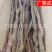 【包邮】批发锁阳内蒙古阿拉善金锁阳整根泡酒滋补