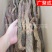 【包邮】批发锁阳内蒙古阿拉善金锁阳整根泡酒滋补