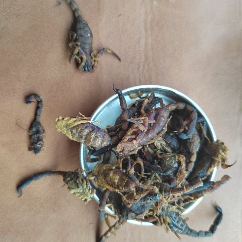陈皮，陈皮丝，橘子皮，煲汤入药，大货批发