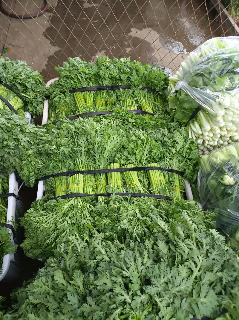 精品小白菜诚信经营，产地直销，量大价优