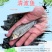 清波鱼苗,中华倒刺鲃，乌鳞，青板，养殖场直发