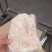 冷冻优质猪肚猪肚20斤一件一级商用，可用于辣炒猪肚