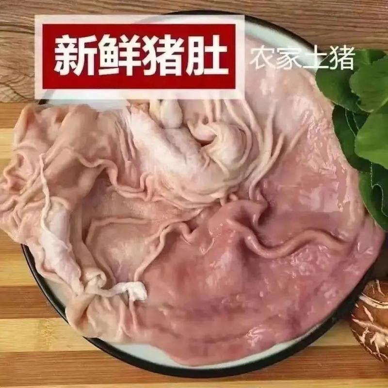 冷冻优质猪肚猪肚20斤一件一级商用，可用于辣炒猪肚