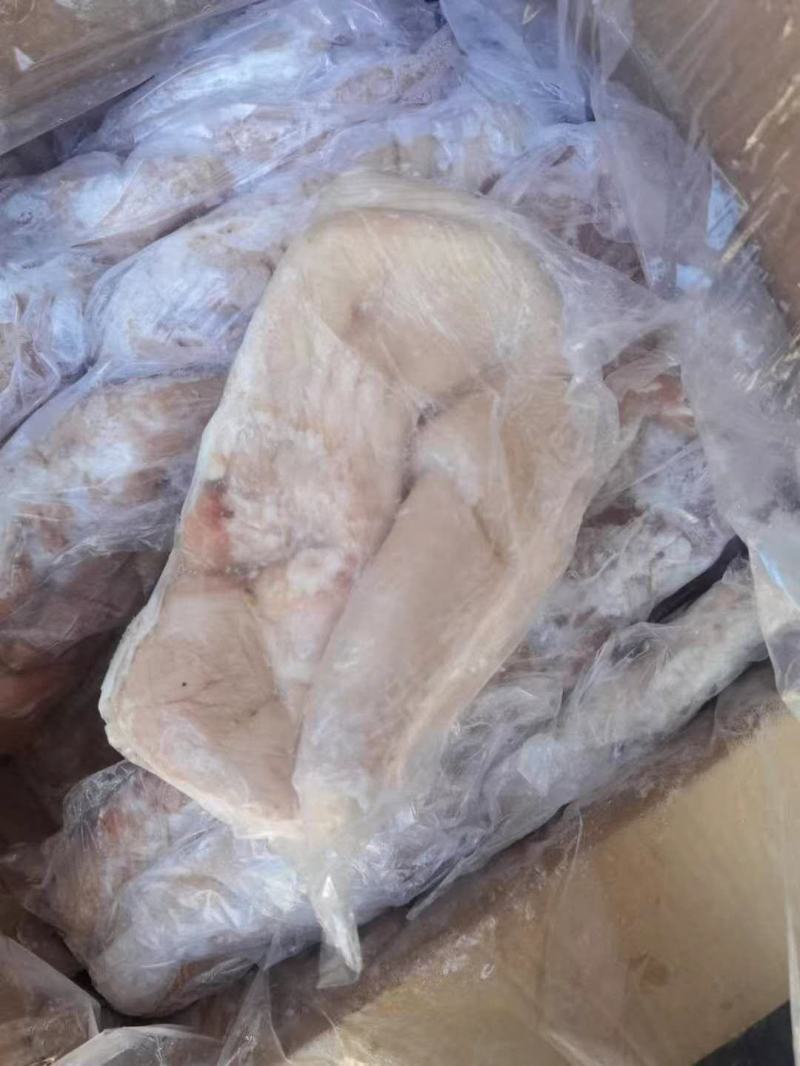 冷冻优质猪肚猪肚20斤一件一级商用，可用于辣炒猪肚