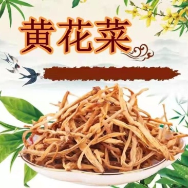 精选优质黄花菜干货新货干黄花菜袋装干黄菜批发包邮