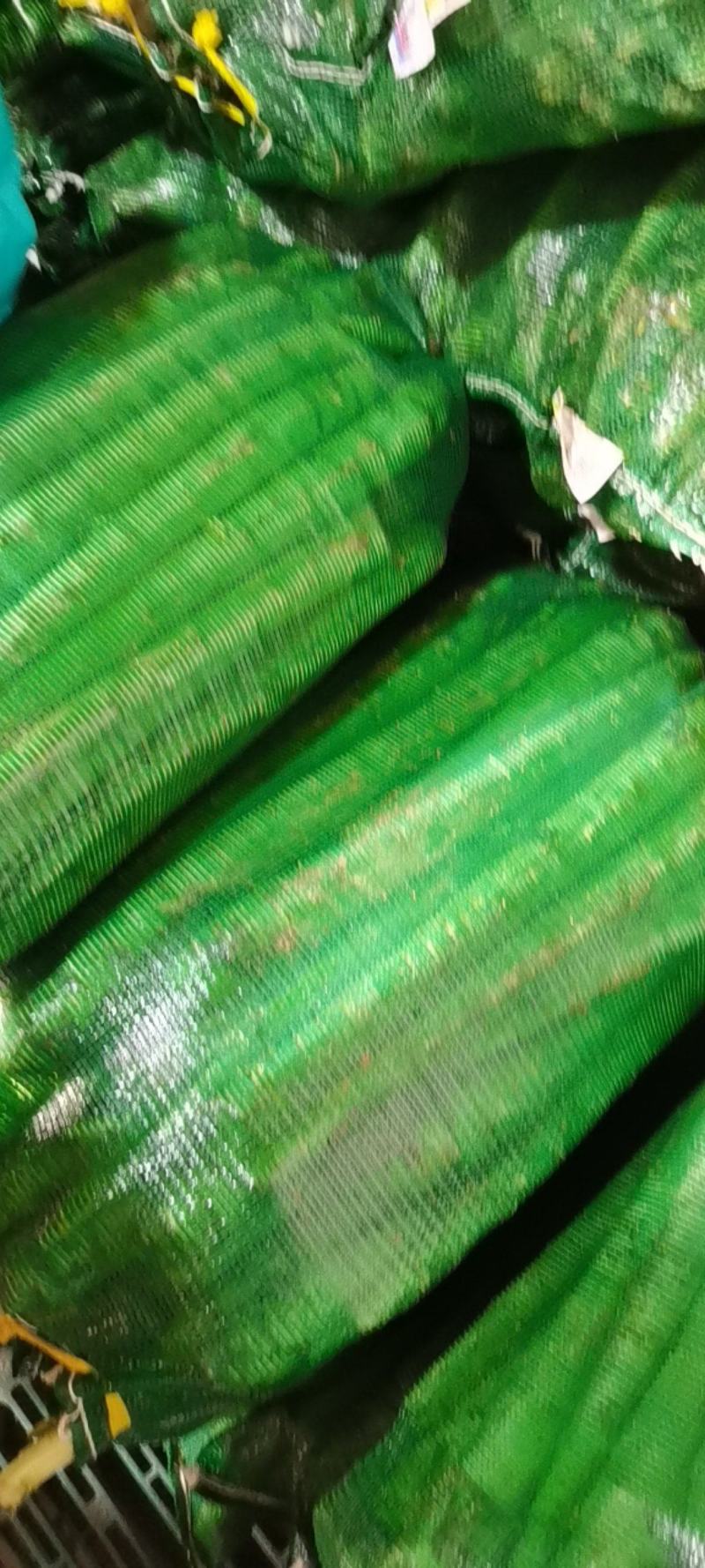 常年供应莴苣杆子¥产地直发@质量保证代发全国各地