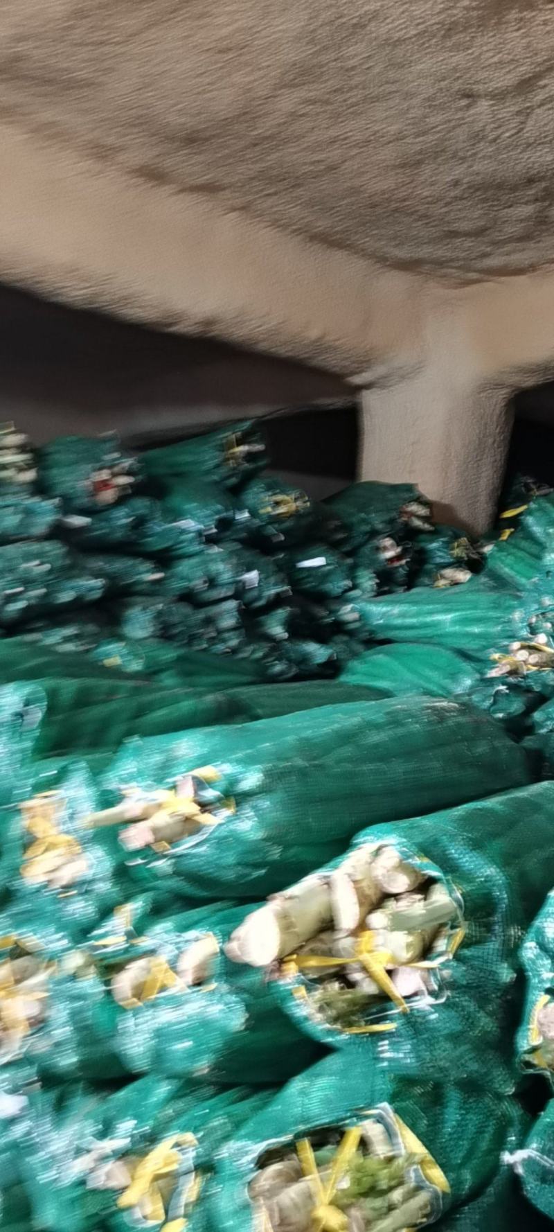 常年供应莴苣杆子¥产地直发@质量保证代发全国各地