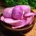 脱水紫洋葱脆干vf脱水蔬菜干洋葱脆干燥