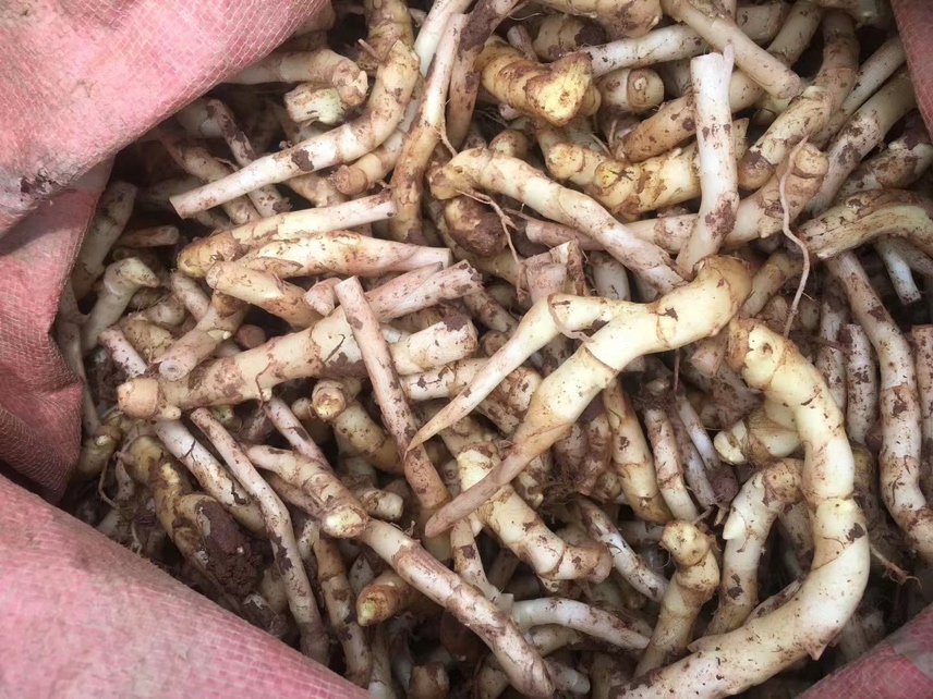 生姜存放前后的对比图