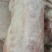 内蒙古辉腾锡勒草原羊，25斤到43斤，七八成膘，20吨，