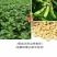 整箱隆昌手工豆棒厂家批发酒店特色食材麻辣烫商