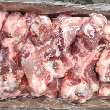 多肉前腿骨20斤带肉率高新货前腿骨肉多