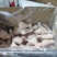 精品优质琵琶腿大量上市基地直供价优货好可视频看货