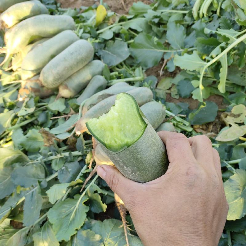 水果萝卜大量上市中