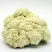 河北邯郸菜花松花菜大量上市价格美丽品质保证一手货源