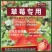 草莓专用生根壮苗，促花保果，膨果着色，增甜聚糖。