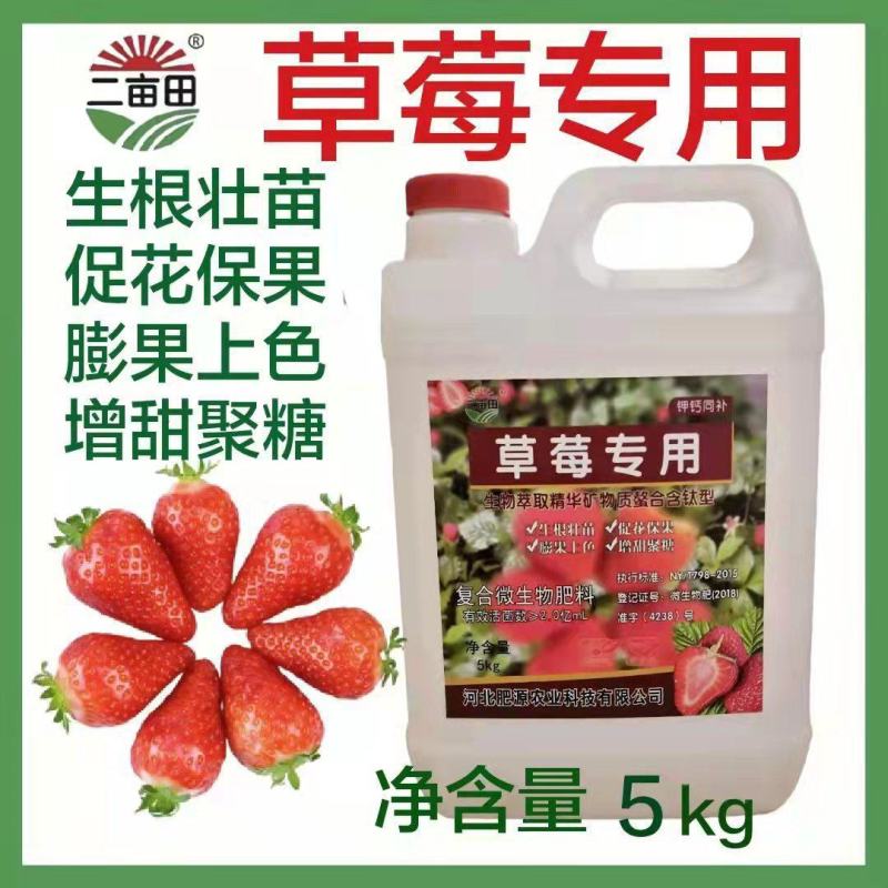 草莓专用生根壮苗，促花保果，膨果着色，增甜聚糖。