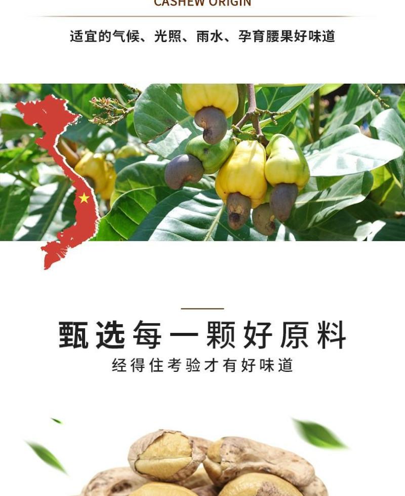 越南腰果20斤A180盐焗带衣虎皮腰果原味生白腰果