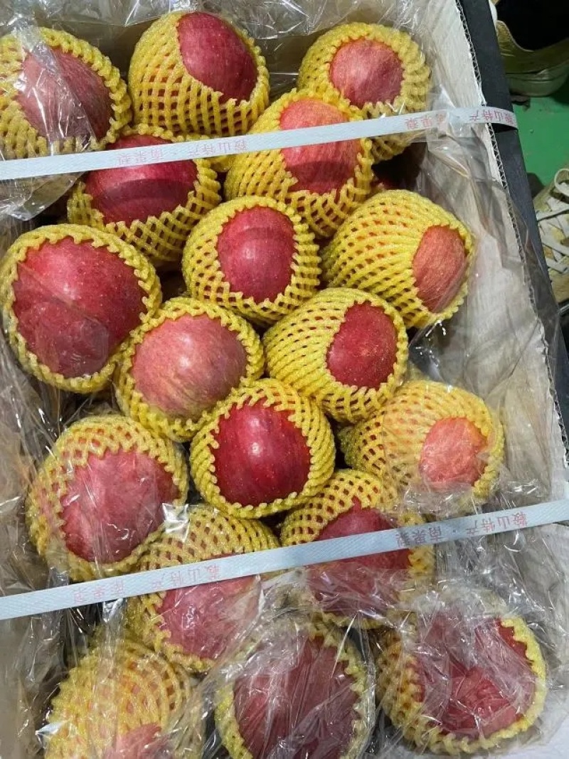 【苹果】辽宁寒富苹果大量供应颜色好个头匀全国发货