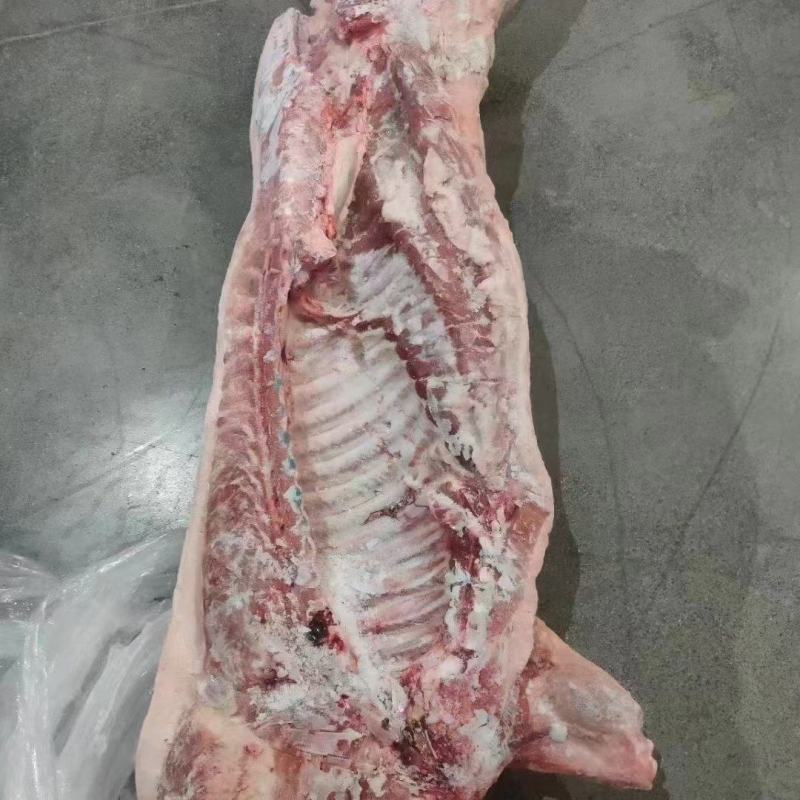 精品去皮冻白条