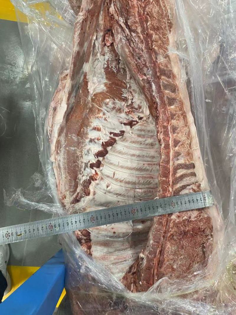 精品去皮冻白条
