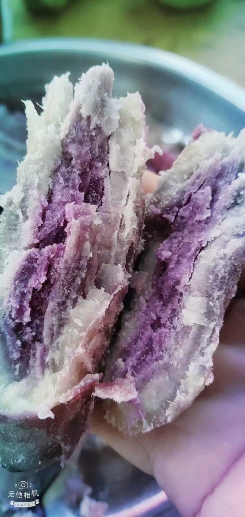 脱毒一点红薯苗，冰淇淋。