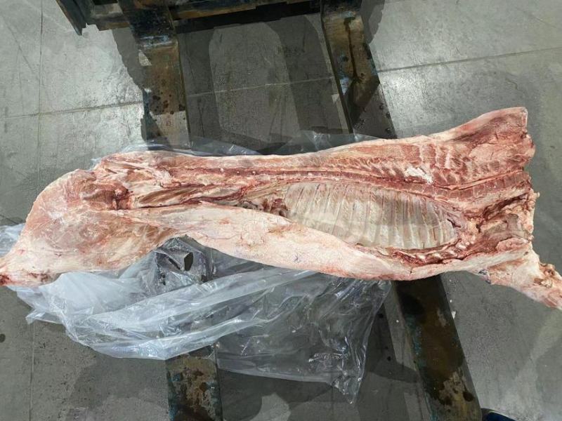 冻猪去皮白条