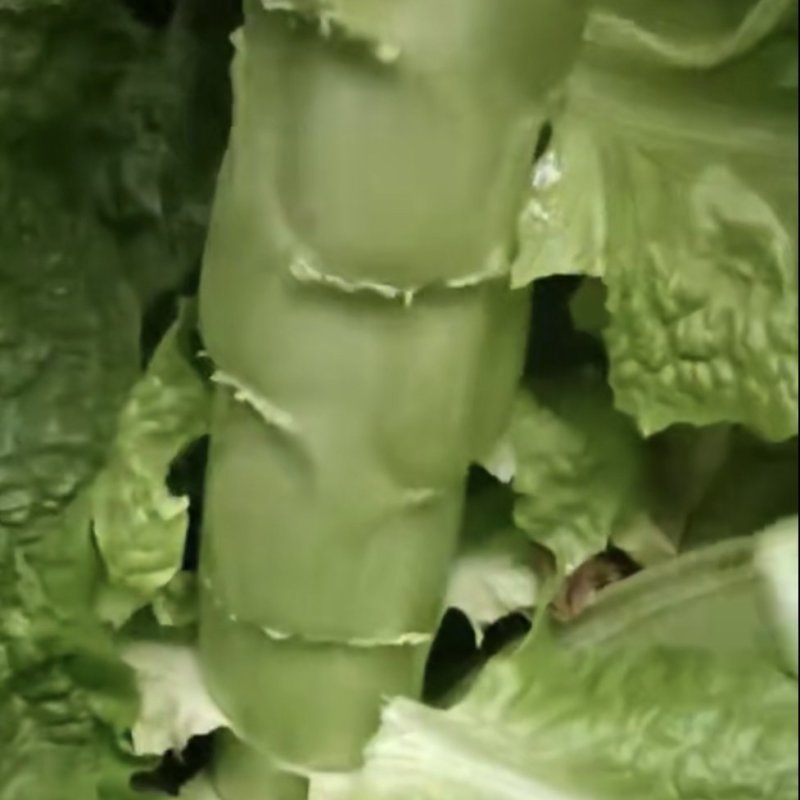 三青莴笋，红尖叶，筒子青，二青，等莴笋批发