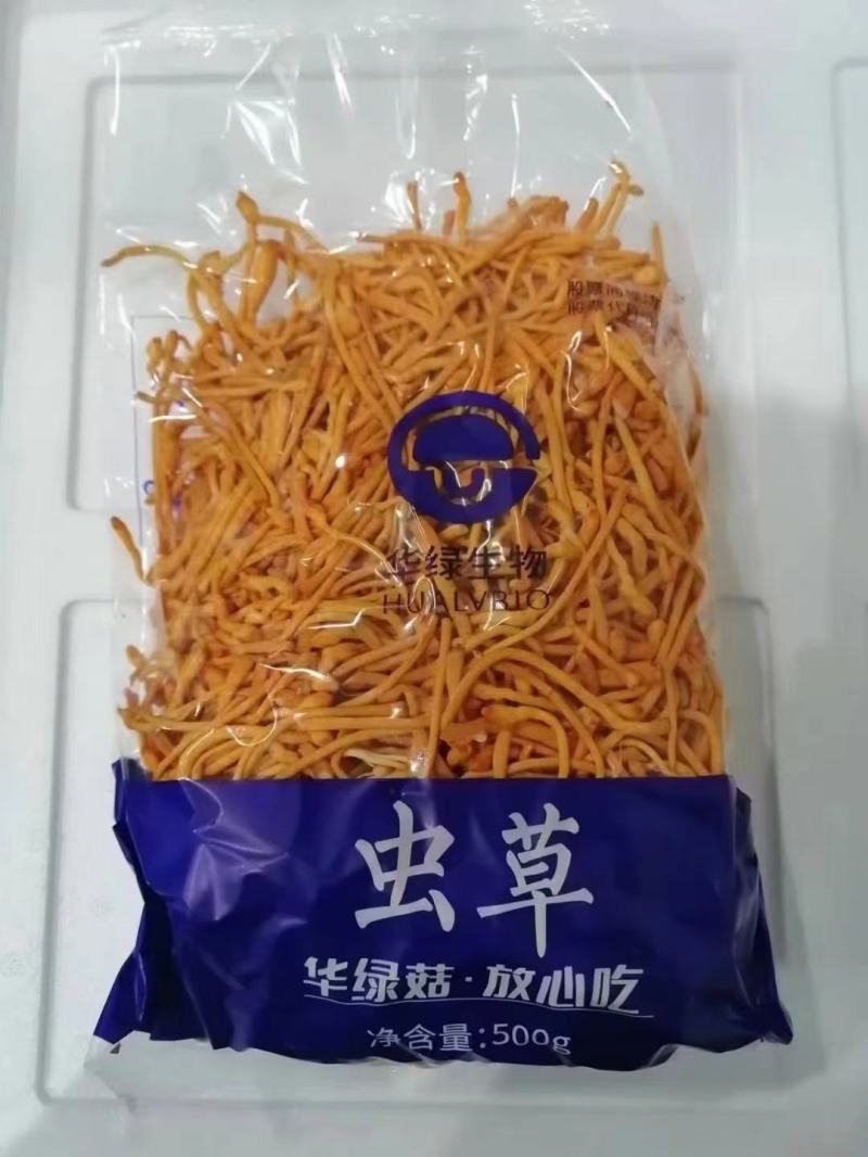 虫草花