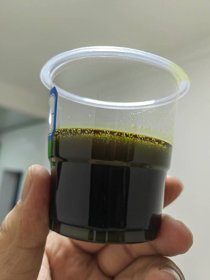 俄罗斯进口油菜籽，46含油，水分7个左右，杂质1%现货！