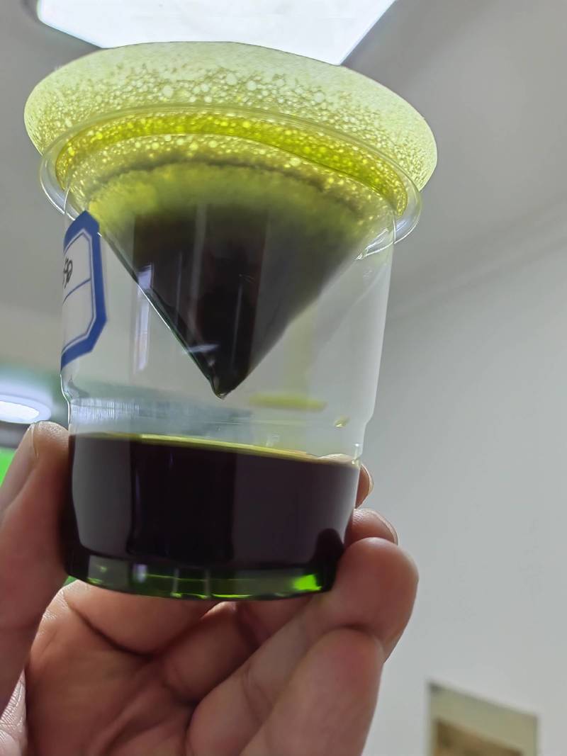 俄罗斯进口油菜籽，46含油，水分7个左右，杂质1%现货！