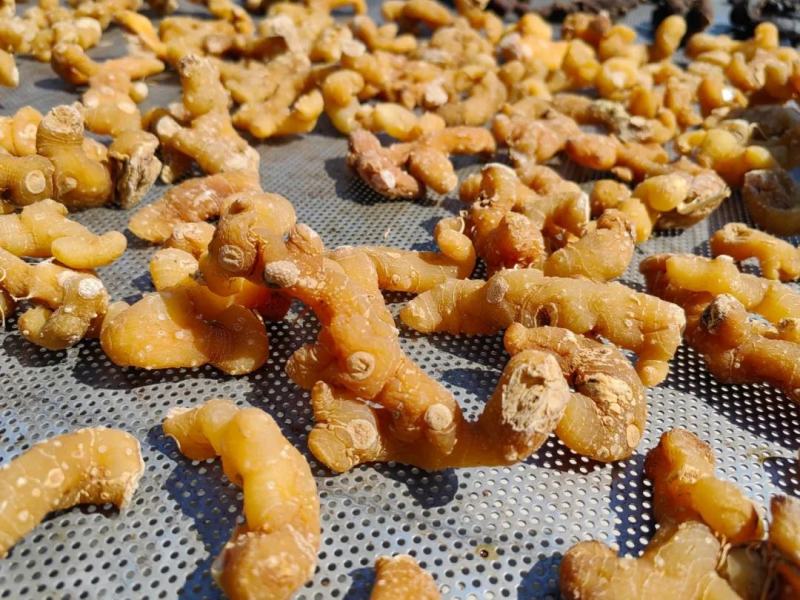 黄精野生倒苗鸡头黄精多花甜黄精老虎姜九蒸九晒