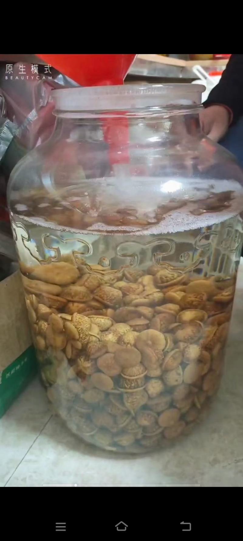 野生风流果。
