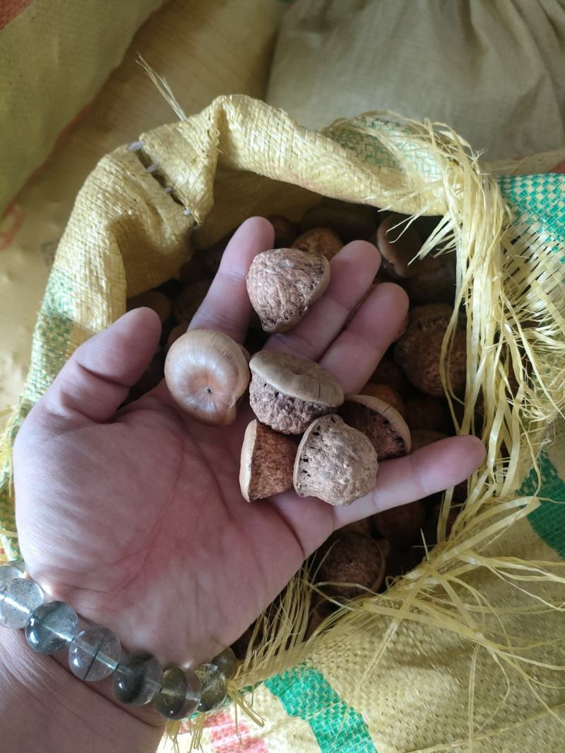 野生风流果。