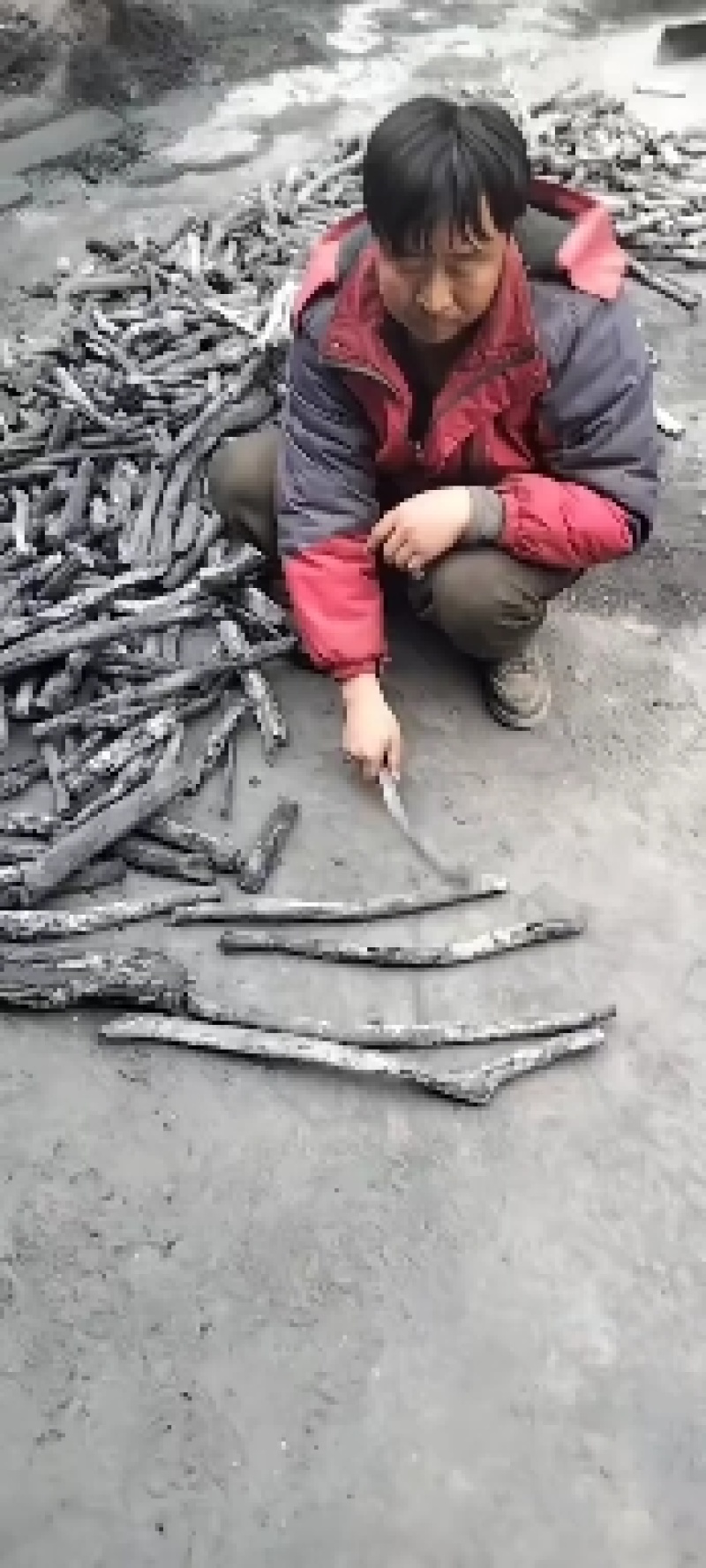 木炭乌钢白炭一手货源视频看货以质论价欢迎联系