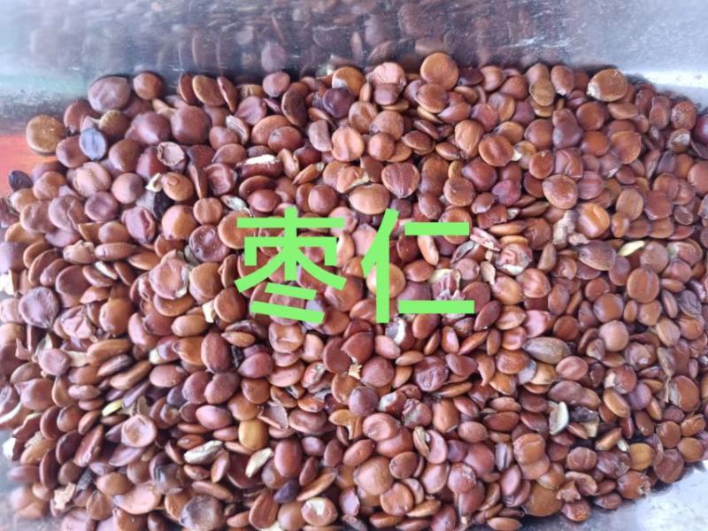 酸枣仁，滇枣仁