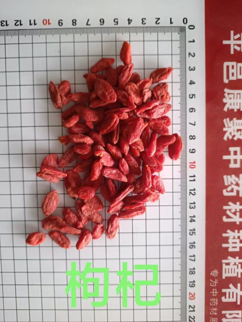 枸杞子药用,食用各种规格