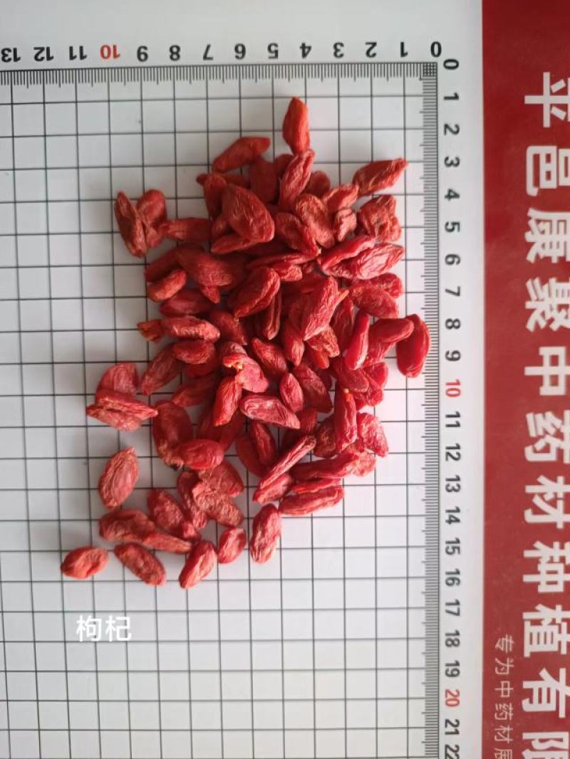 枸杞子药用,食用各种规格