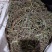 荆芥穗，荆芥三刀，榨穗